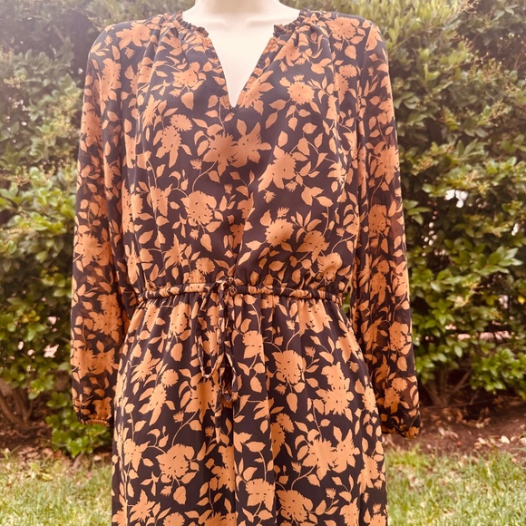 Ann Taylor Loft - Picture 3 of 4